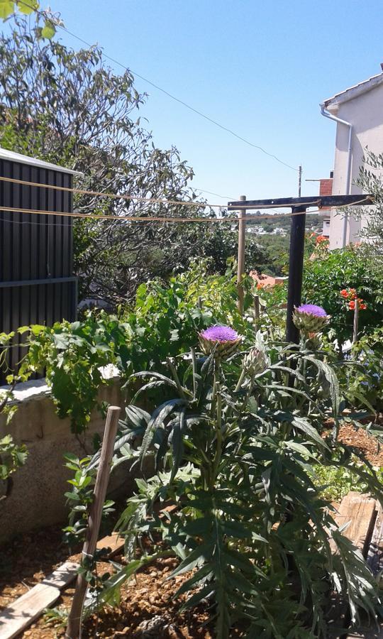 ホテル House Krk クルク エクステリア 写真
